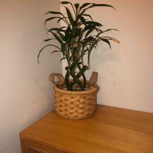 Cute Bamboo Basket w/Faux Leather Handles